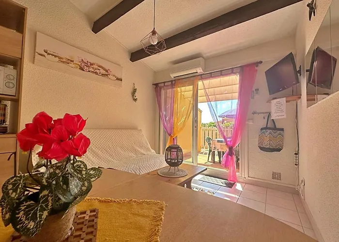 בית נופש Cap D'agde, Bord De Mer, 50 M De La Roquille, Climatise Et Wifi, *