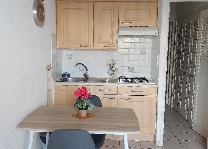 בית נופש Cap D'agde, Bord De Mer, 50 M De La Roquille, Climatise Et Wifi,