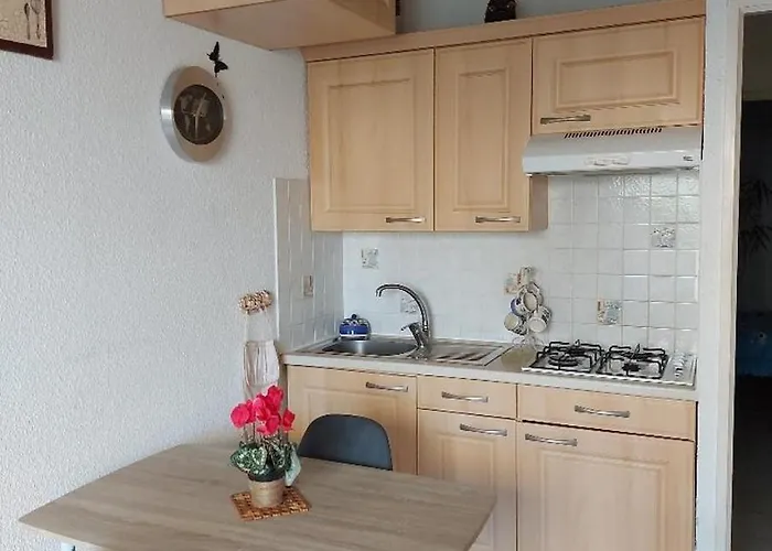 Cap D'agde, Bord De Mer, 50 M De La Roquille, Climatise Et Wifi, בית נופש *