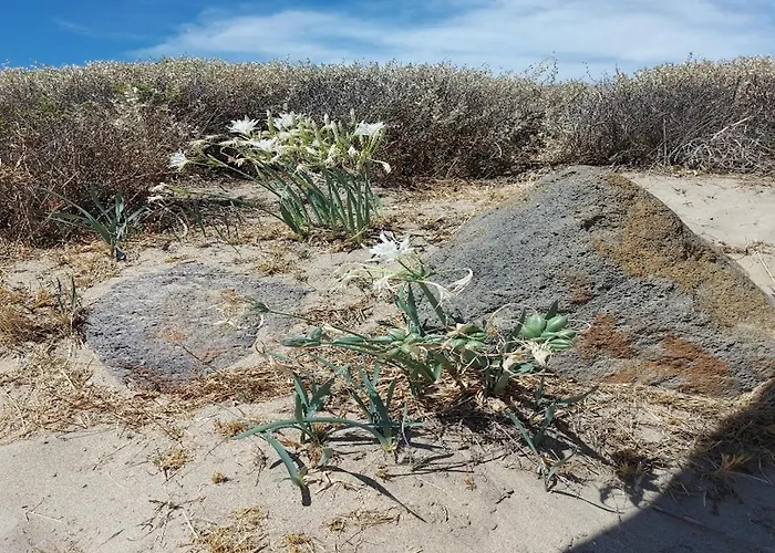 בית נופש Cap D'agde, Bord De Mer, 50 M De La Roquille, Climatise Et Wifi, אגדה